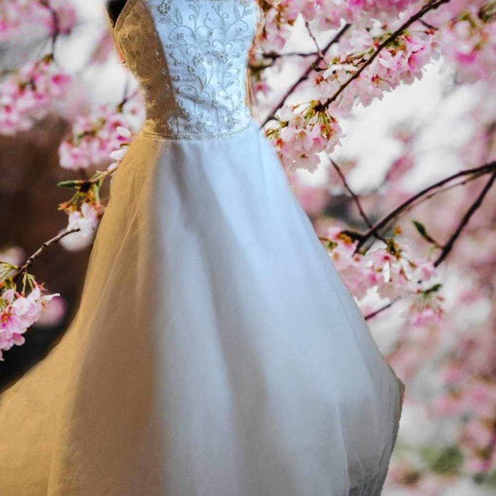 Alfred Angelo Tulle Ball gown Size 12